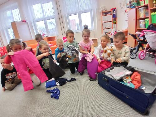 Koťata jedou na hory